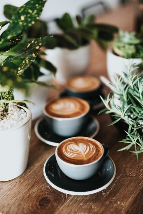 Barista